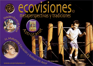 Revista Ecovisiones Nº 6 completa